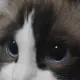 付先生的个人头像